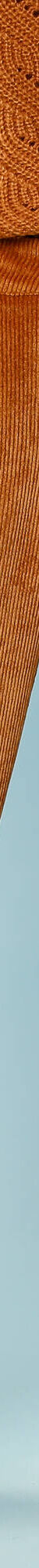 Pantalon 7/8ème en velours, Spécial Petites (miel) Pantalon 7/8ème en velours, Spécial Petites (miel)